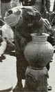 Portrait of Ladi Kwali