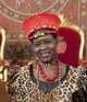 Portrait of Theresa Kachindamoto