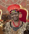 Portrait of Theresa Kachindamoto